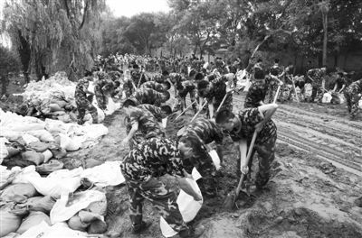 ���������Ž���Ӧ������������Ԥ������