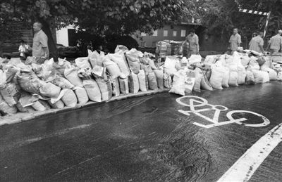 ���������Ž���Ӧ������������Ԥ������