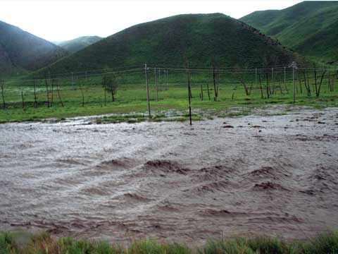 ���ɹŽ������ڳ��� �ֵ��辯������ֺ�