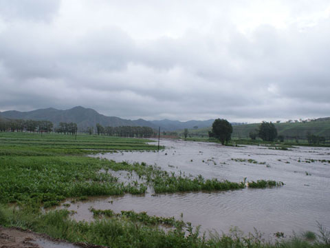 ���ɹŽ������ڳ��� �ֵ��辯������ֺ�